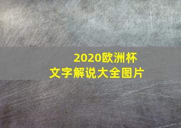 2020欧洲杯文字解说大全图片