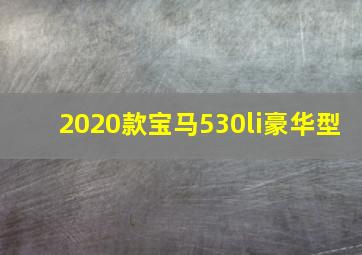 2020款宝马530li豪华型