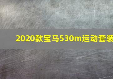 2020款宝马530m运动套装