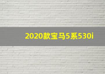 2020款宝马5系530i