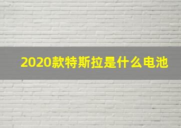 2020款特斯拉是什么电池