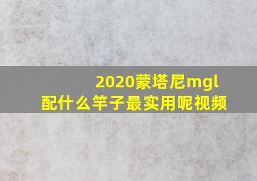 2020蒙塔尼mgl配什么竿子最实用呢视频