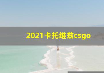 2021卡托维兹csgo