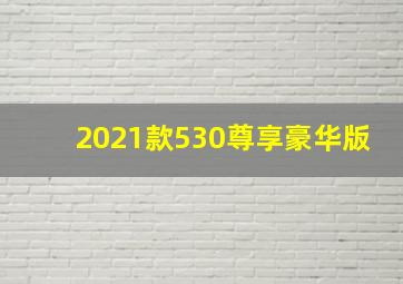 2021款530尊享豪华版