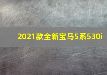 2021款全新宝马5系530i