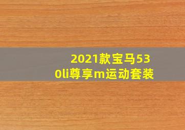 2021款宝马530li尊享m运动套装