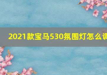 2021款宝马530氛围灯怎么调