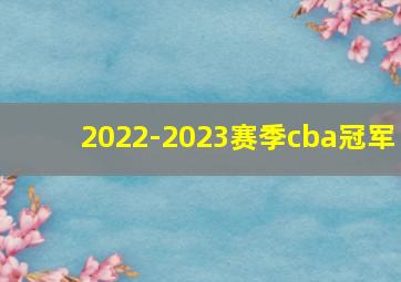 2022-2023赛季cba冠军