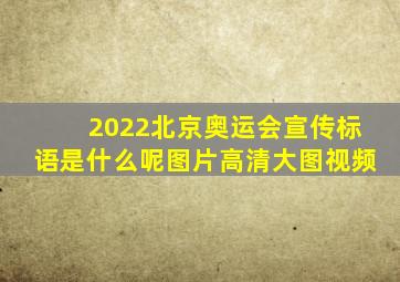 2022北京奥运会宣传标语是什么呢图片高清大图视频