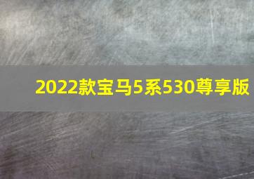 2022款宝马5系530尊享版