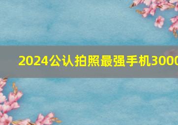 2024公认拍照最强手机3000