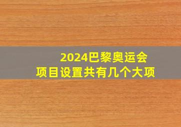 2024巴黎奥运会项目设置共有几个大项