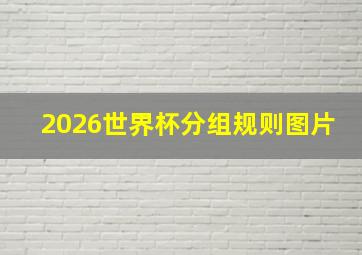 2026世界杯分组规则图片