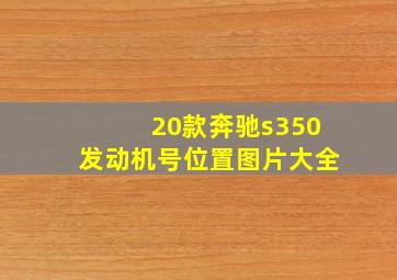 20款奔驰s350发动机号位置图片大全