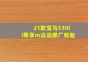 21款宝马530li尊享m运动原厂轮胎