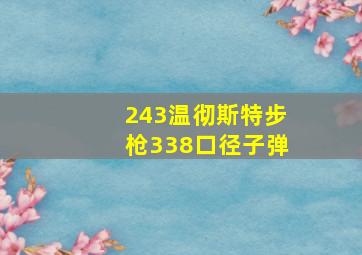 243温彻斯特步枪338口径子弹