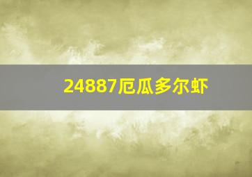 24887厄瓜多尔虾