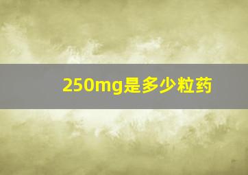 250mg是多少粒药