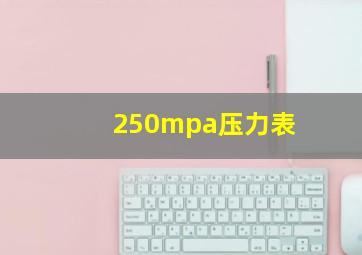 250mpa压力表