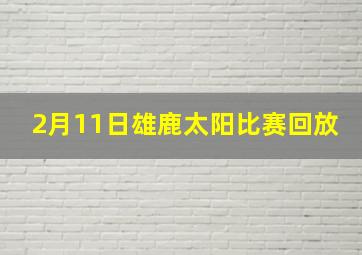 2月11日雄鹿太阳比赛回放