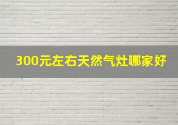 300元左右天然气灶哪家好