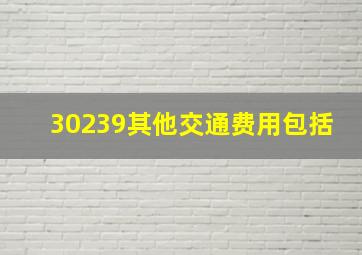 30239其他交通费用包括