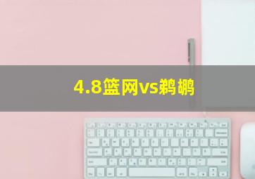 4.8篮网vs鹈鹕