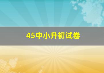 45中小升初试卷