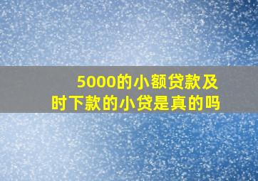 5000的小额贷款及时下款的小贷是真的吗