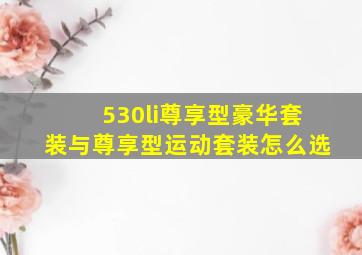 530li尊享型豪华套装与尊享型运动套装怎么选