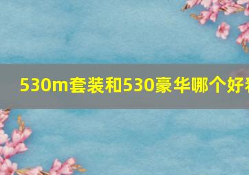 530m套装和530豪华哪个好看