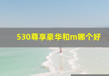 530尊享豪华和m哪个好