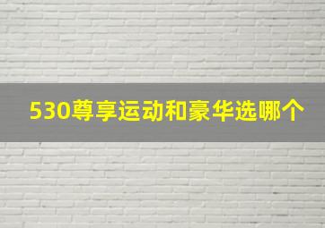 530尊享运动和豪华选哪个