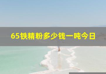 65铁精粉多少钱一吨今日