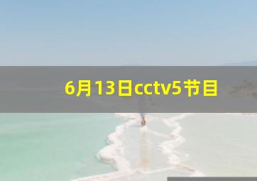 6月13日cctv5节目