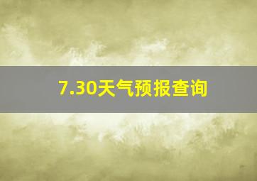 7.30天气预报查询