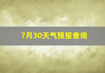 7月30天气预报查询