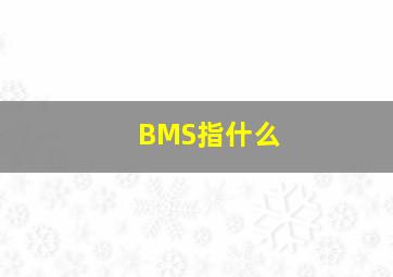 BMS指什么