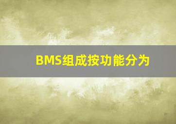 BMS组成按功能分为