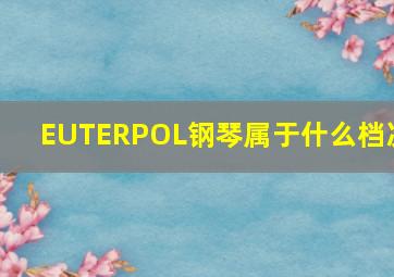 EUTERPOL钢琴属于什么档次