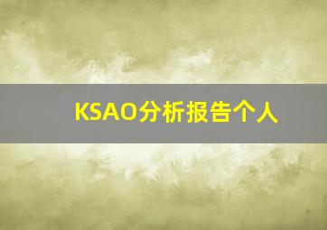 KSAO分析报告个人