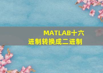 MATLAB十六进制转换成二进制