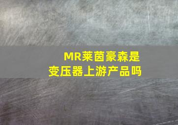 MR莱茵豪森是变压器上游产品吗