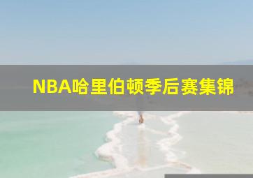 NBA哈里伯顿季后赛集锦