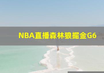 NBA直播森林狼掘金G6