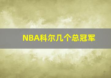 NBA科尔几个总冠军