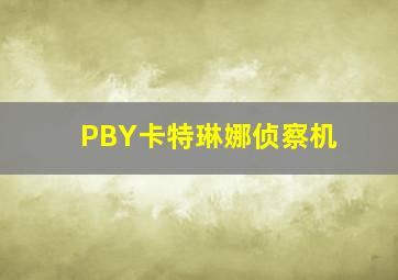 PBY卡特琳娜侦察机