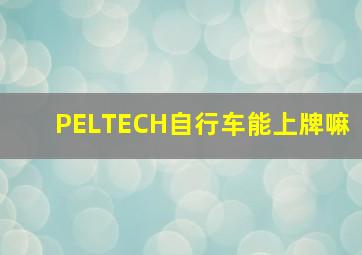 PELTECH自行车能上牌嘛