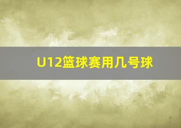 U12篮球赛用几号球