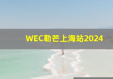 WEC勒芒上海站2024